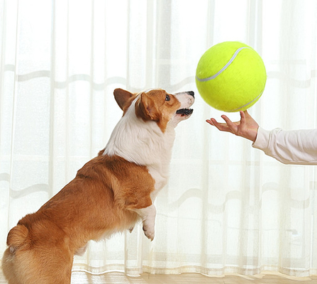 9.5"Inflatable Rubber extra large tennis ball for dogs traning Outdoor