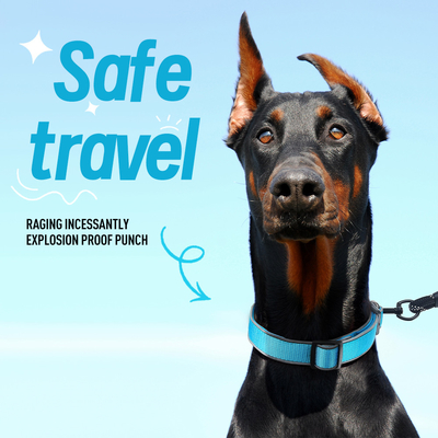 Pet Adjustable Dog Collar Reflective Collar For Medium And Large Dogs