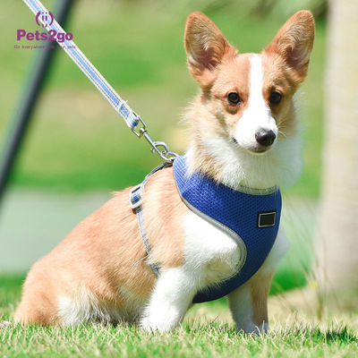 Lightweight Best Dog Harness For Puppies Cute Puppy Harness Dog Harness For Hiking