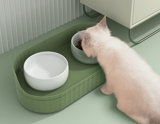 Raised Ceramic Cat Bowls With Stand Cute Elevated Dog Dish