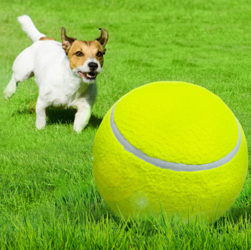 9.5"Inflatable Rubber extra large tennis ball for dogs traning Outdoor